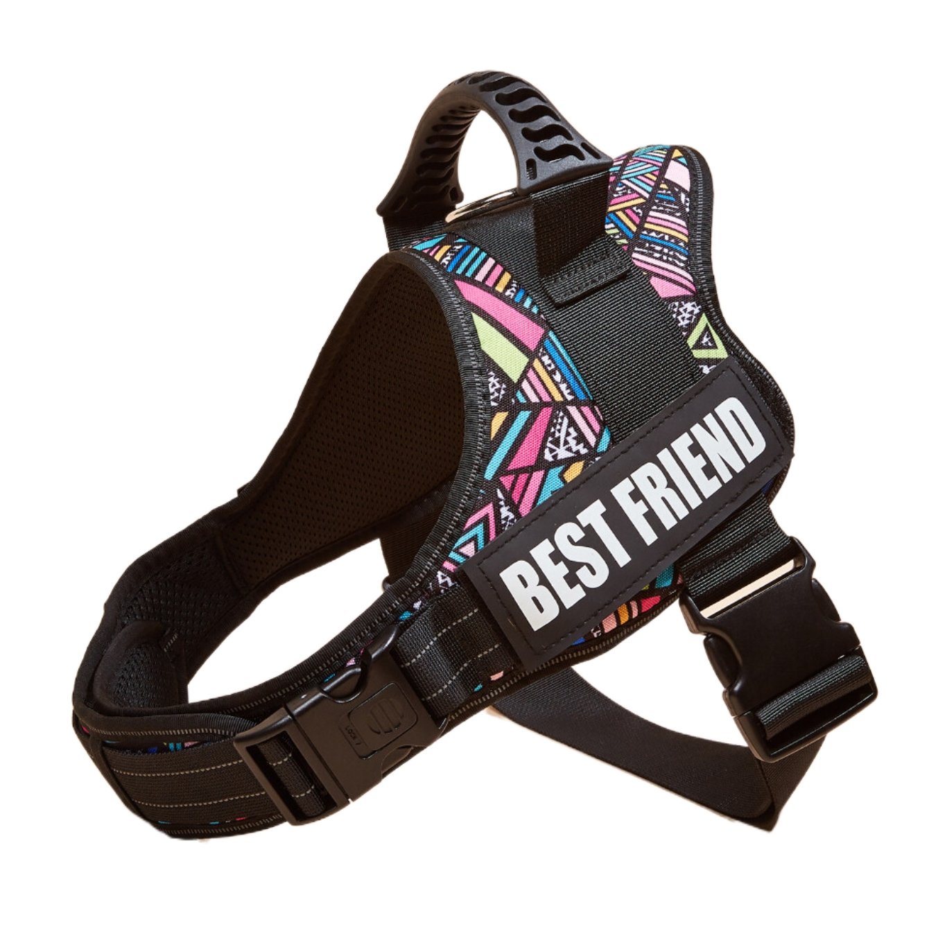 Personalized Dog Harness