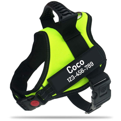 Personalized Dog Harness
