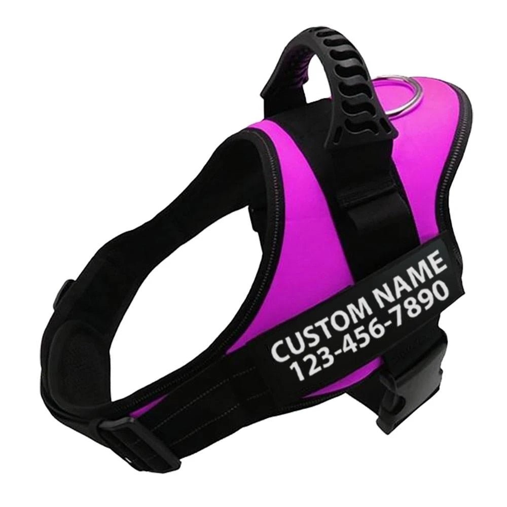Personalized Dog Harness