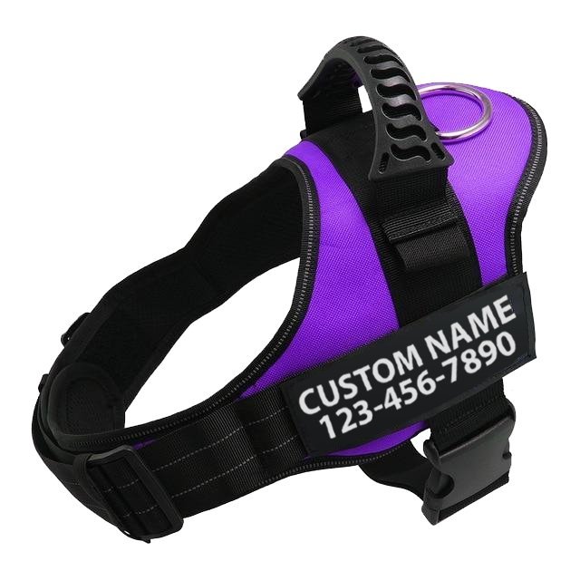 Personalized Dog Harness