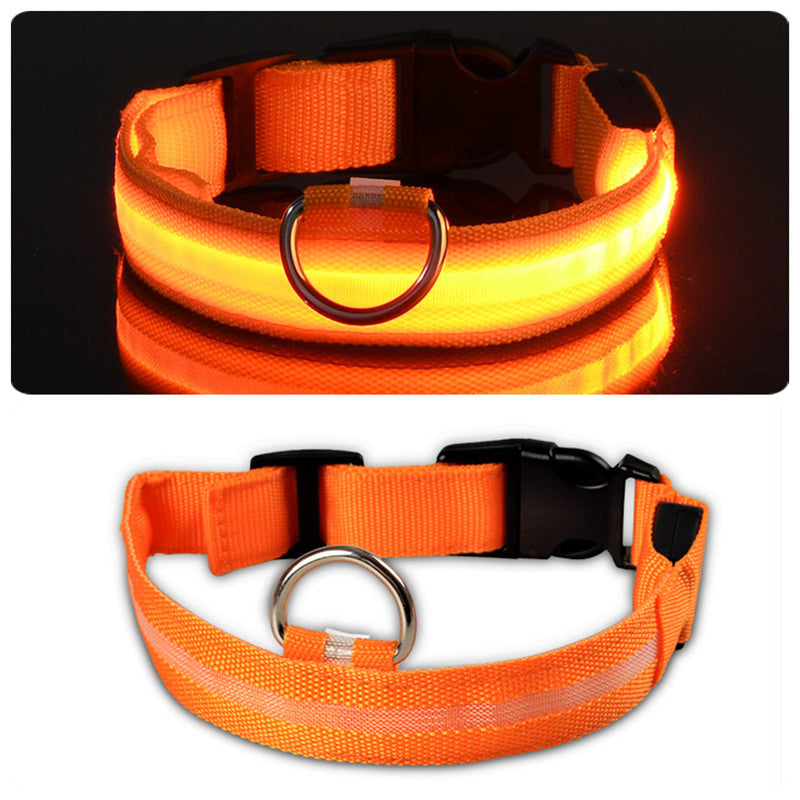 LED Dog Collar