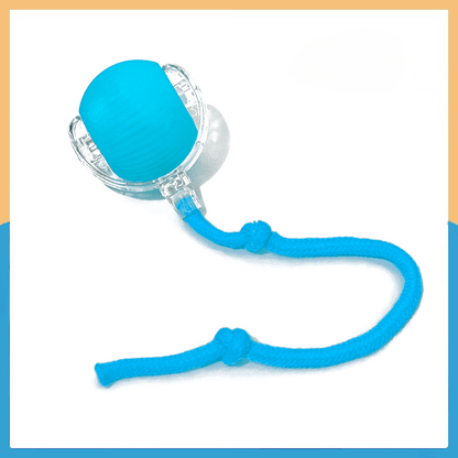 Smart Pet Ball – Interactive & Pet-Friendly