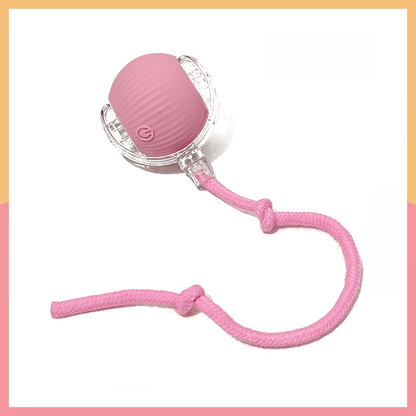 Smart Pet Ball – Interactive & Pet-Friendly