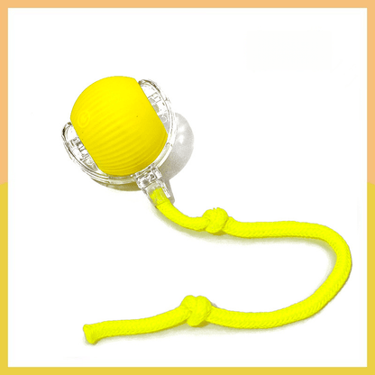 Smart Pet Ball – Interactive & Pet-Friendly