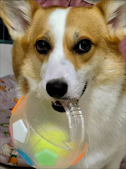 Durable Soccer Toy – Bouncy, Bite-Resistant & Fun