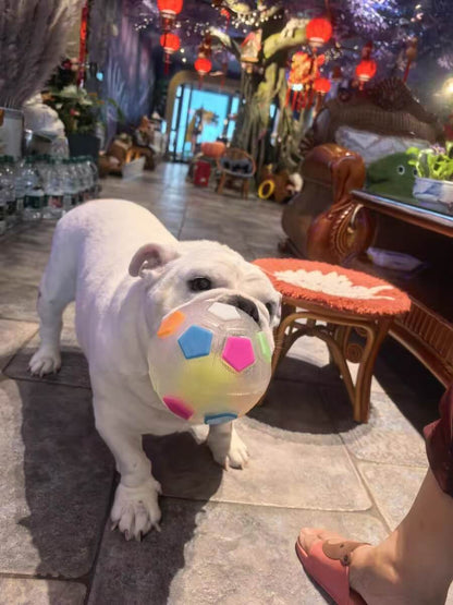 Durable Soccer Toy – Bouncy, Bite-Resistant & Fun