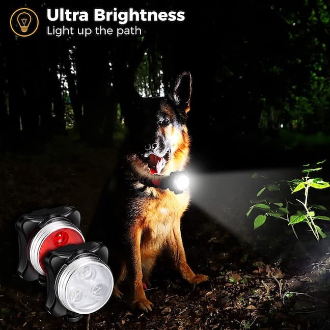 Bright Led Dog Collar/Harness Flashlight (Rechargeable)