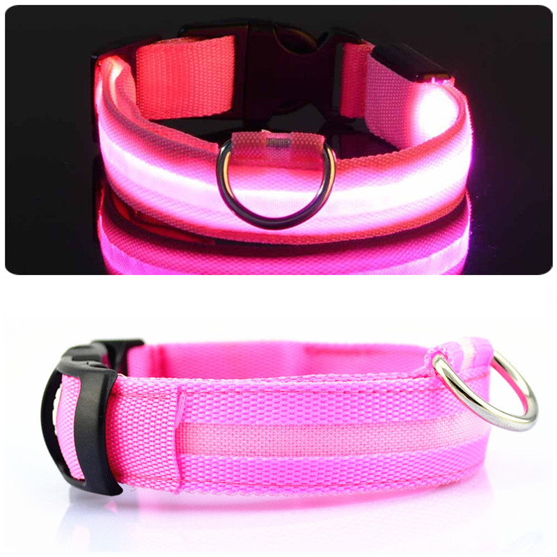 LED Dog Collar