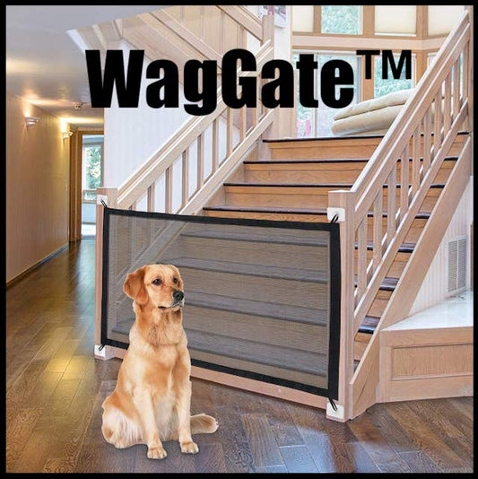 Portable Dog Gate