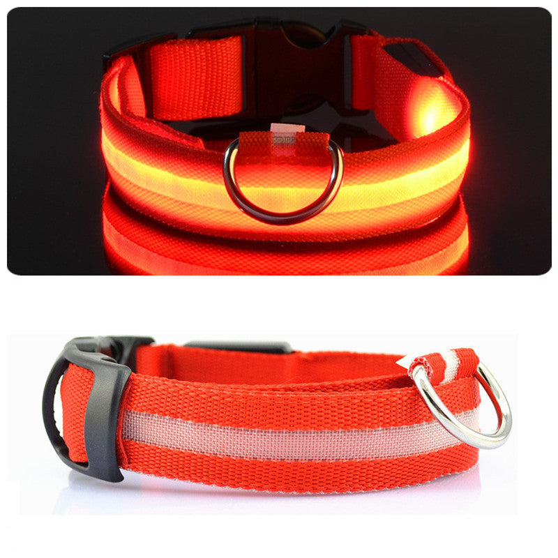 LED Dog Collar