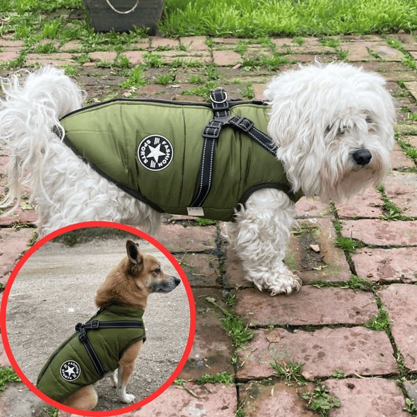 Waterproof Winter Dog Jacket with Built-in Harness