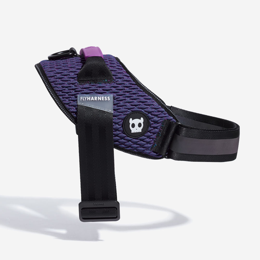 Dog collar