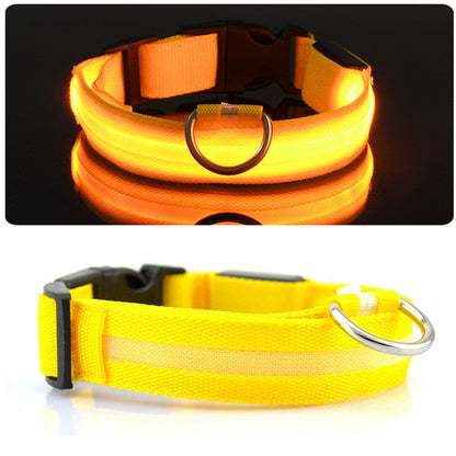 LED Dog Collar